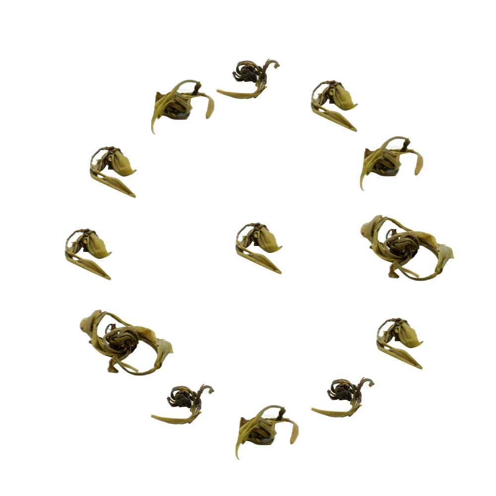 te al gelsomino jasmine pearls