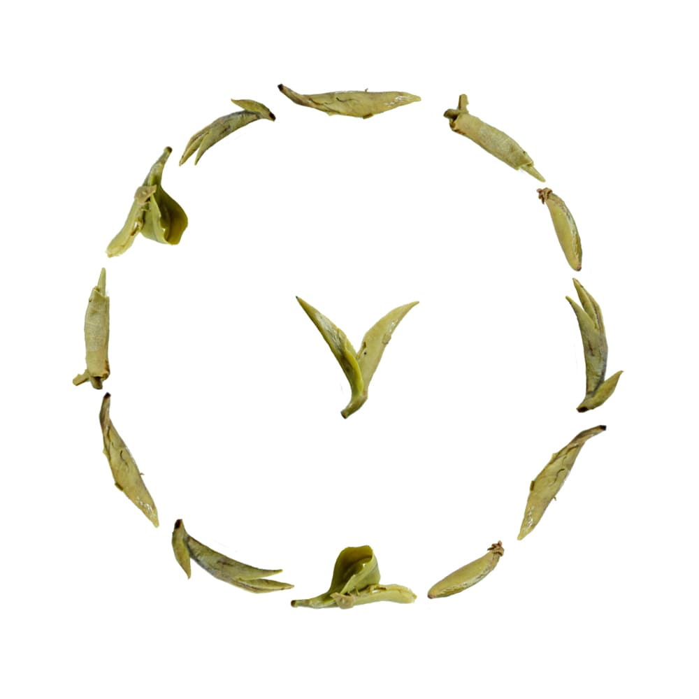 Yin Zhen White Tea (Silver Needles)