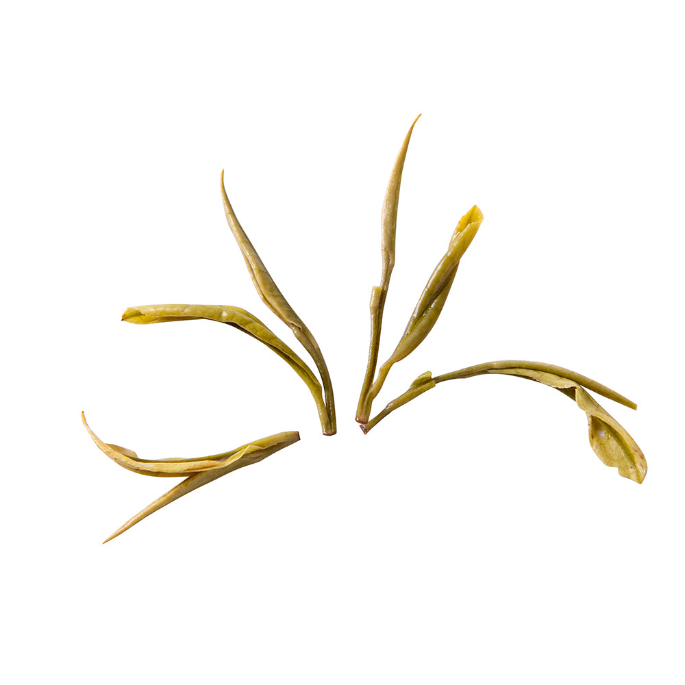 tè verde ANJI BAI CHA 2