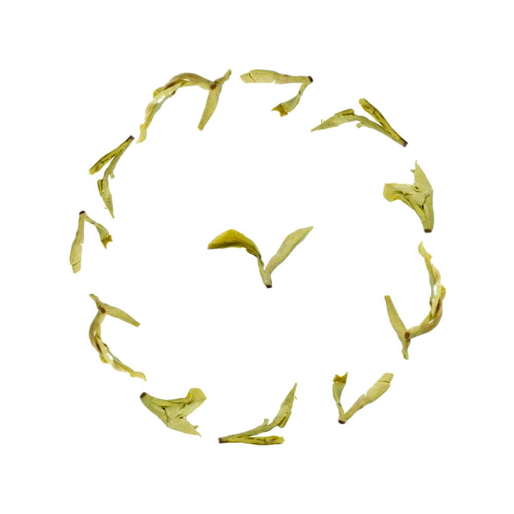 te verde longjing foglie