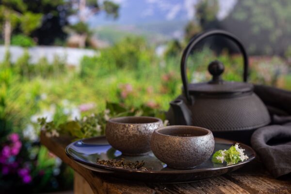 Quando Bere il Tè Verde: guida alla Tazza Quotidiana
