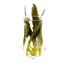 tè verde Taiping houkui 10